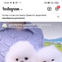 ���� �����, ������, 47 ��� - ��������� 5 ������ 2022 � ������ ���� ����������