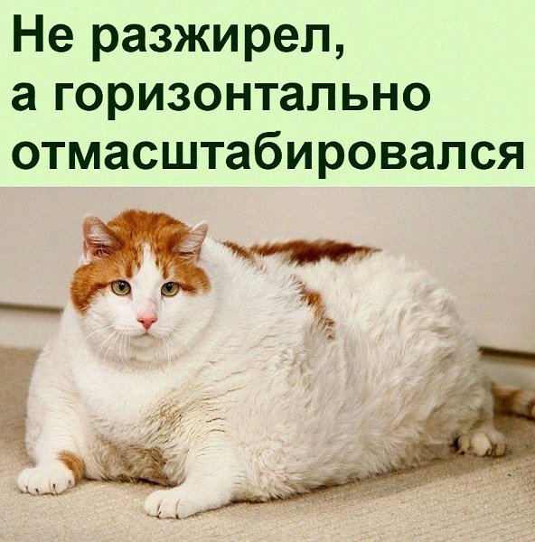 ������ ��������� :D - 4 ������� 2022 � 06:16