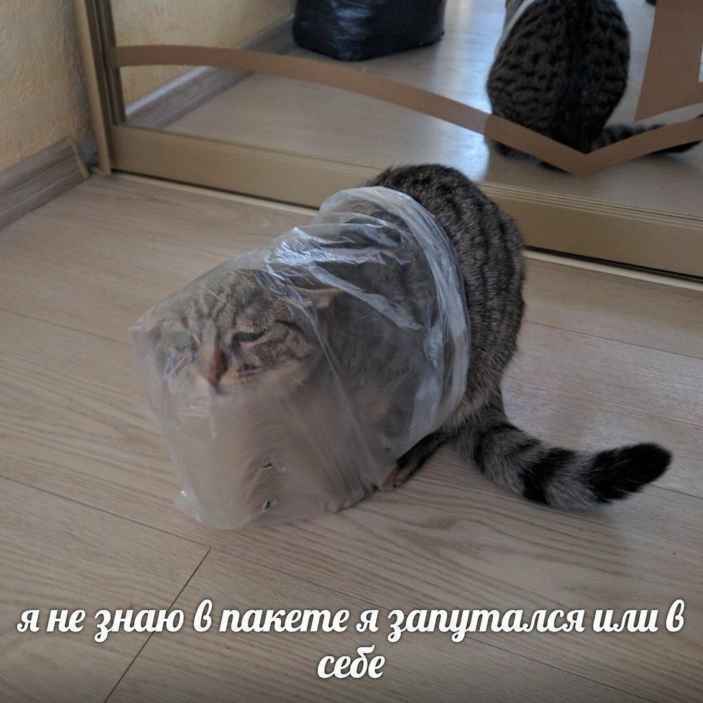    - 16  2023  16:37