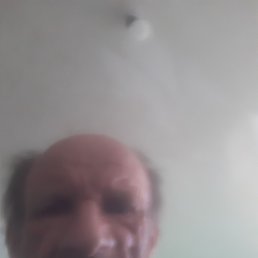 ���� ������, ���������, 57 ��� - ��������� 17 ��� 2022