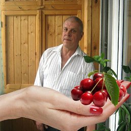 ���� ����, ����, 73 ���� - ��������� 2 ������� 2022