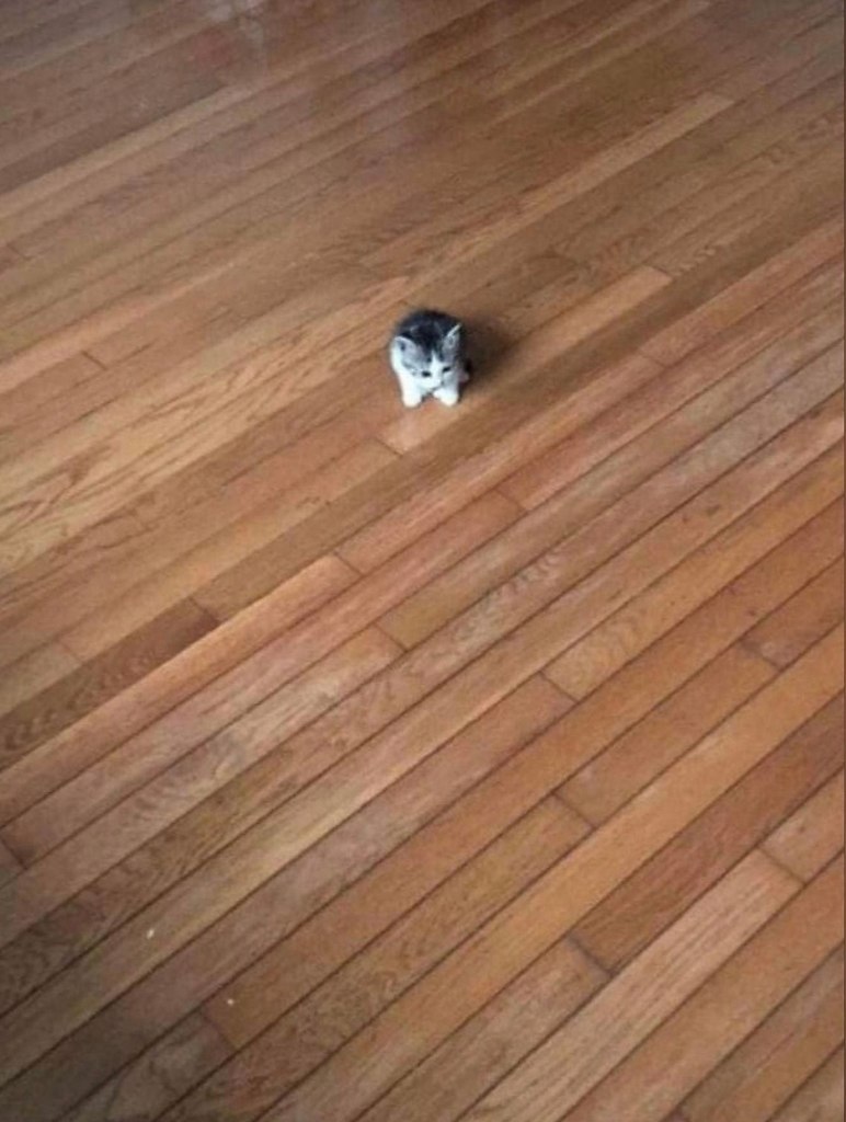  )