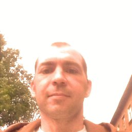 , 38, 