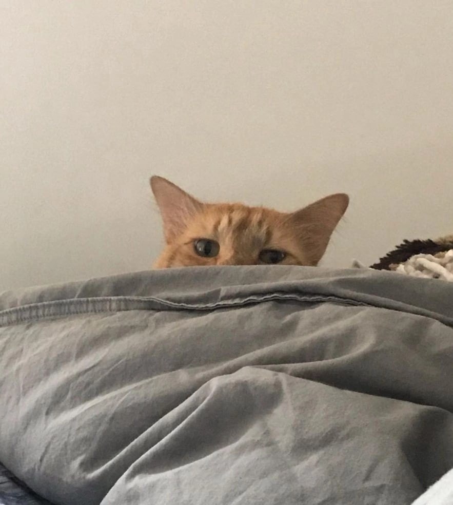 ��� ���� � ����� �� �� - 21 ��� 2022 � 19:15 - 2