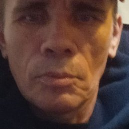 ����, �����-���������, 56 ���