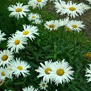 ���� ����, ������ �������� - ��������� 2 ���� 2022