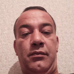 Fexreddin, , 46 