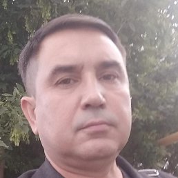 , , 53 