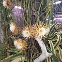 ���� ����������, �����-���������, 42 ���� - ��������� 12 ������� 2022