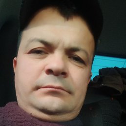 ��������, �����, 43 ����