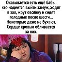 ���� ��������, ���� - ��������� 2 ��� 2022 � ������ ���� ����������
