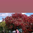 ���� �������, �� �������� � ���������, �����, 53 ���� - ��������� 13 ������� 2022 � ������ ���� ����������