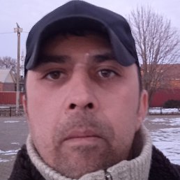 ������, ������-��-����, 41 ���