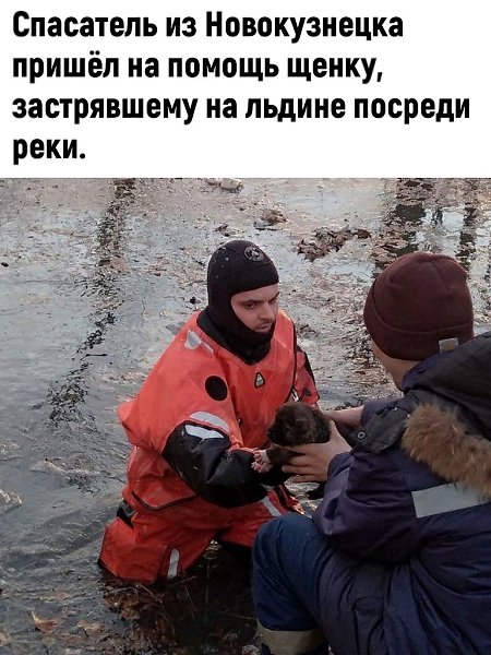Всего тебе хорошего, малыш, с твоей новой любящей хозяйкой!