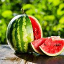���� Marlen, ����������� - ��������� 7 ������� 2022 � ������ ������ ��������