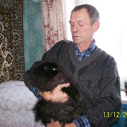 �������, ������, 72 ����