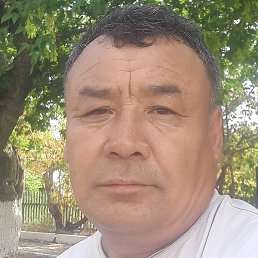 , , 53 