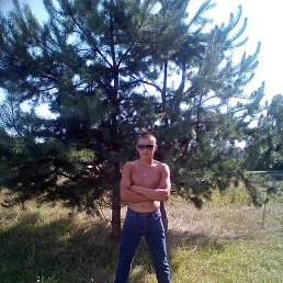 �����, �����, 37 ���