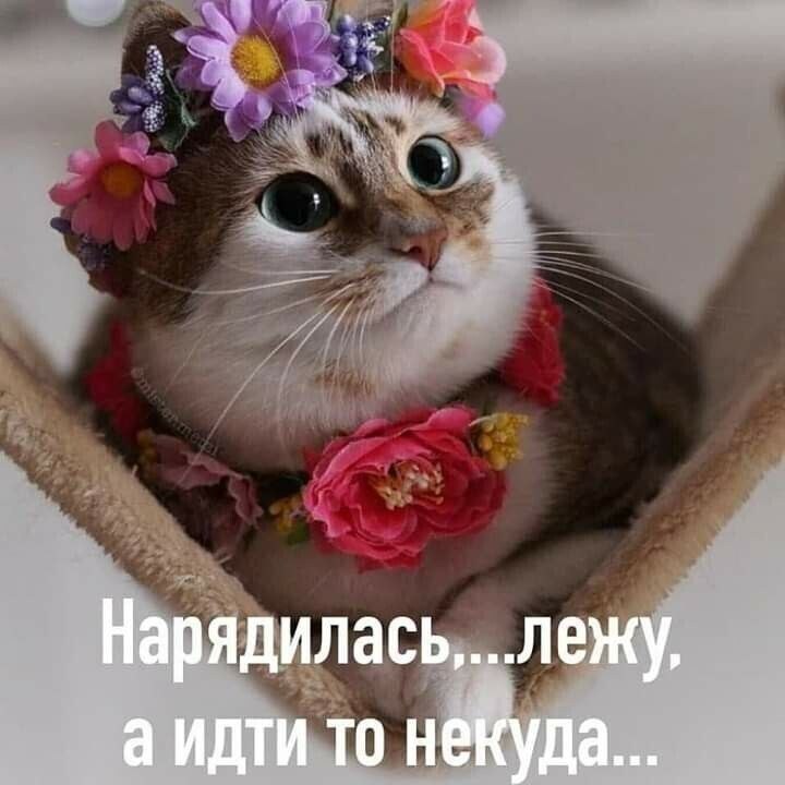   - 10  2022  08:12