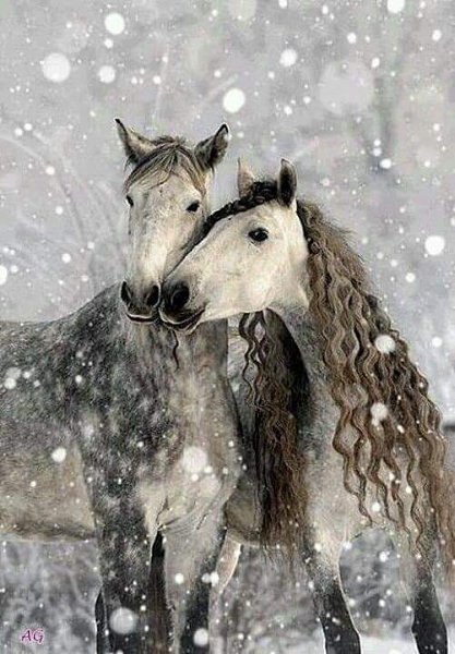 У каждого свой рецепт счастья. Для кого-то это деньги. Для кого-то - карьера. Для кого-то дети.А ...