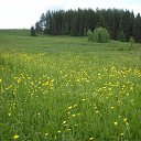 ���� Inna, �����, 50 ��� - ��������� 14 ������� 2023