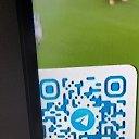  , , 55  -  26  2022