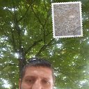 ���� ����, ��������, 44 ���� - ��������� 29 ���� 2022 � ������ ���� ����������
