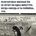 , , 57  -  31  2022