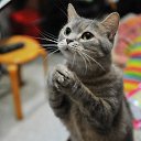 ���� Aleks, ��������, 35 ��� - ��������� 31 ��� 2022 � ������ ���� ����������