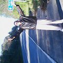 ���� ���, �����������, 45 ��� - ��������� 7 ���� 2022 � ������ ���� ����������