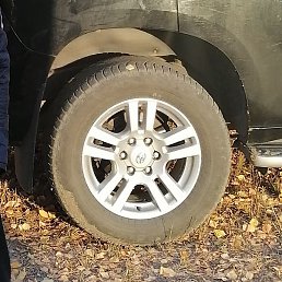 ������, ���������, 39 ���