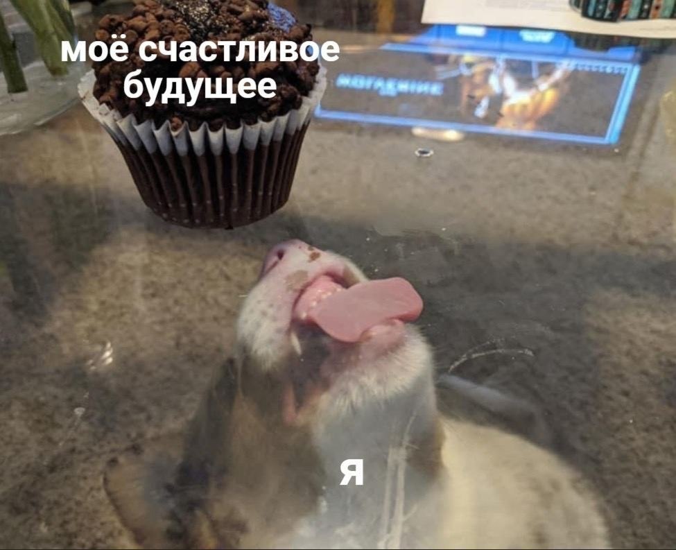    - 20  2022  23:33