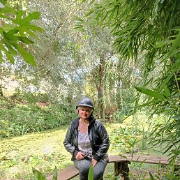 ���� ����, �����������, 57 ��� - ��������� 6 ������� 2022