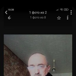  ,  , 61  -  31  2022