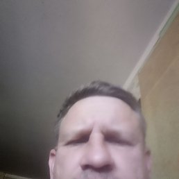 ���� �������, �������, 48 ��� - ��������� 8 ��� 2022