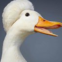 ���� ������, ������, 48 ��� - ��������� 2 ������� 2022 � ������ ���� ����������