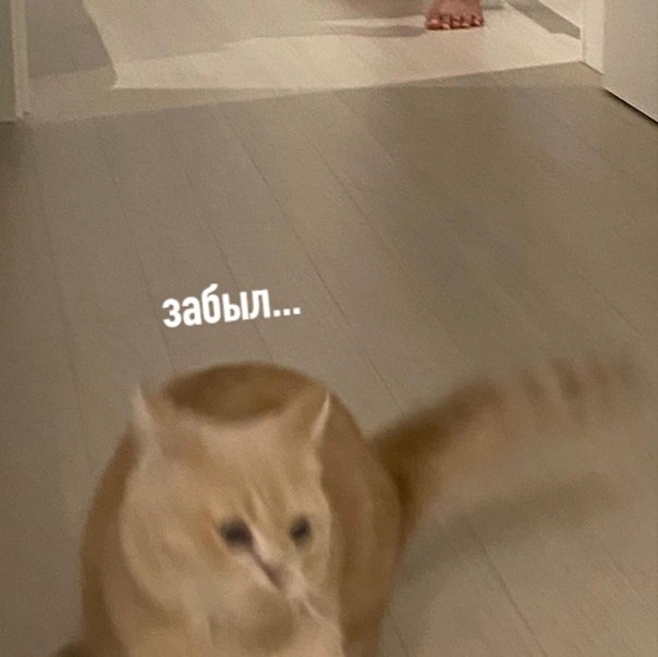 3 ���� ���� ����� ����� ��������� ������� - 4