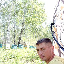 �������, ������, 37 ���