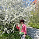 ���� �����, ������� - ��������� 10 ��� 2022 � ������ ���� ����������