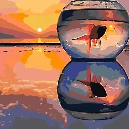 , , 47 