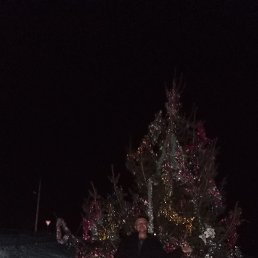 ��������, �����������, 39 ���