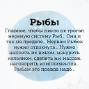  ,  -  13  2022    