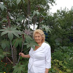 ���� �������, �����, 69 ��� - ��������� 29 ������� 2022