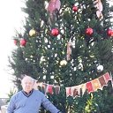 ���� �������, ����, 76 ��� - ��������� 28 ������ 2022