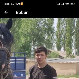 , 36, 
