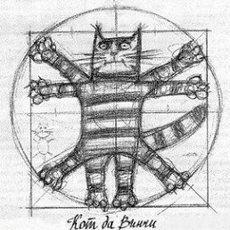 ���� �������, �����, 53 ���� - ��������� 26 ������ 2022