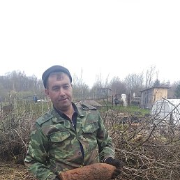 ���� �����, ������ �������, 42 ���� - ��������� 14 ����� 2022