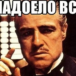 Akademiya, �������, 95 ���