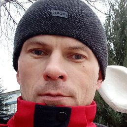 ��������, �������, 43 ����