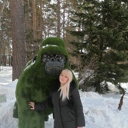 ���� ������, �����������, 55 ��� - ��������� 19 ������ 2023